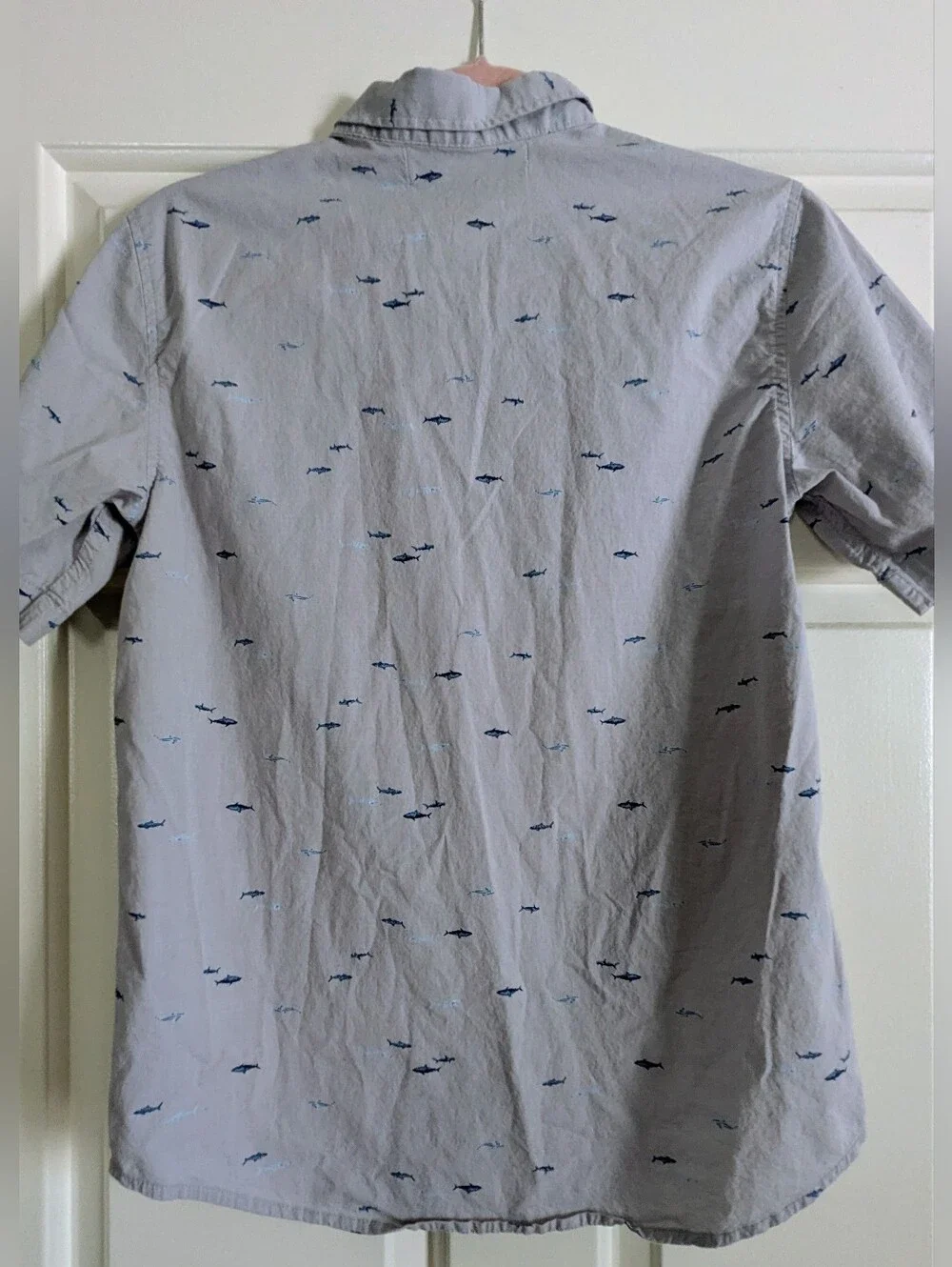 Boys Short Sleeve Fish Print Top